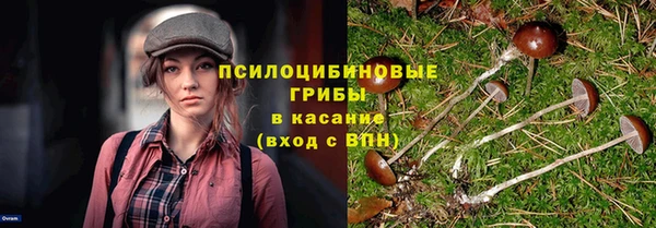 Альфа ПВП Арсеньев