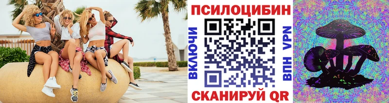 блэк спрут зеркало  Калтан  Галлюциногенные грибы Psilocybe 